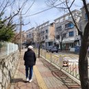 강남십자약국 이미지