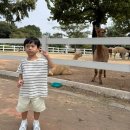 전동목장 이미지