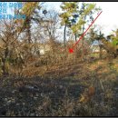 해남목장 이미지