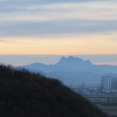 아침의 새소리 이미지