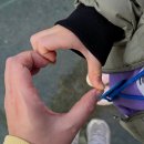 청자아파트 | [남북여행 후기]아이랑 강진청자축제/백련사동백길/가우도출렁다리 당일여행후기