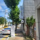 경성꽈배기원주점 | 원주 봉산동 경성 꽈배기 후기
