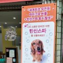 폴짝그루밍