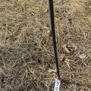 만산농장 이미지