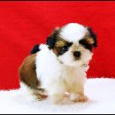 몽글몽글 이미지