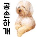 뷰나인아임파인 이미지