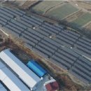 애주 태양광발전소 이미지