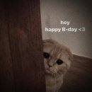 Hai I came back to wish you a happy birthday🥳🥳🥳🥳🥳🥳🥳🥳💚💚💚💚💚 이미지