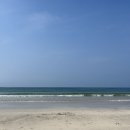 초원게스트 이미지