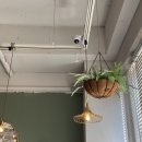 리찌하우스 이미지