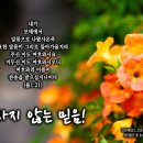 PICTURE&TEXT_20240623_변하지 않는 믿음!_욥기 1장 21절_오순절 후 다섯 번째 주일 묵상_선비같은 꽃 능소화_우리 이미지