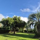 웨스티하우스 | 🌴다시 찾은 서귀포 감성 독채펜션, 웨스티하우스 후기🏡