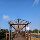 헬로남생이 제주 조천 전망 좋은 카페 한라산과 바다 뷰와 연못이 있는 <b>헬로</b> <b>남생이</b>