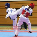 글로벌경희대태권도체육관 이미지