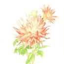 수채화(일요일반) 이미지