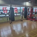 에스복싱클럽 이미지