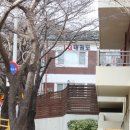 엘지태권도장 이미지