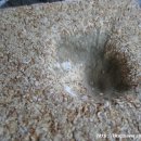 누룩과알콜 이미지