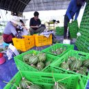 너래안농장 이미지