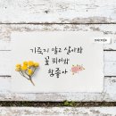 풀꽃3