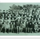 담주초등학교 이미지