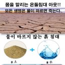 자연흙침대