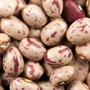 누브 피트니스 (쌍촌점) 이미지