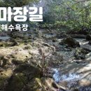 로만토피아오름추억 이미지