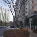 대리2길 이미지