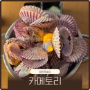 카메토리
