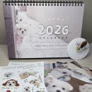 ​랜선 집사들 심장 조심! 무공해 청정 비주얼 2026 백재롱 달력 언박싱 (귀여움 한도 초과)