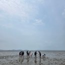 KOREA 유도관 네이버블로그