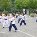 고려대 김세원 태권도 이미지