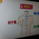자연만세 이미지