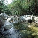 양촌민박 이미지