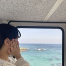 CU울진죽변후정점 | 울진 여행 가볼만한곳 죽변해안스카이레일 모노레일 시간 예약 당일예매