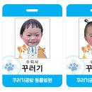 도안우리약국