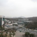 윙윙댄스스포츠 이미지