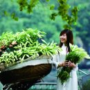 아시아엔 이미지