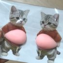 신사동왕족발 - 양산시 북안남3길 10-2 | 하루종일 웃은
