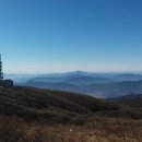 지리산옻닭흑돼지 이미지