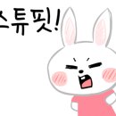 새한공인중개사사무소 이미지