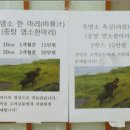 가막골흑염소 이미지