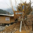 서석야영장 이미지