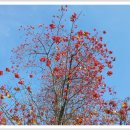 무지개클럽 이미지