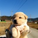 대박토토 이미지