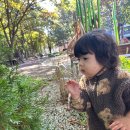 양평2동-1 이미지