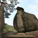 무릉도원면-39 이미지