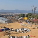 포레스트258 펜션 이미지