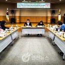 드림드림 티스토리